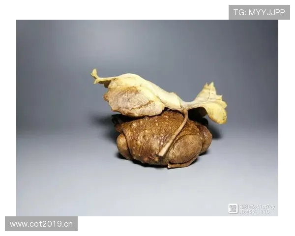 马琳训练像雕塑，私下花钱像随手发红包，我笑喷了